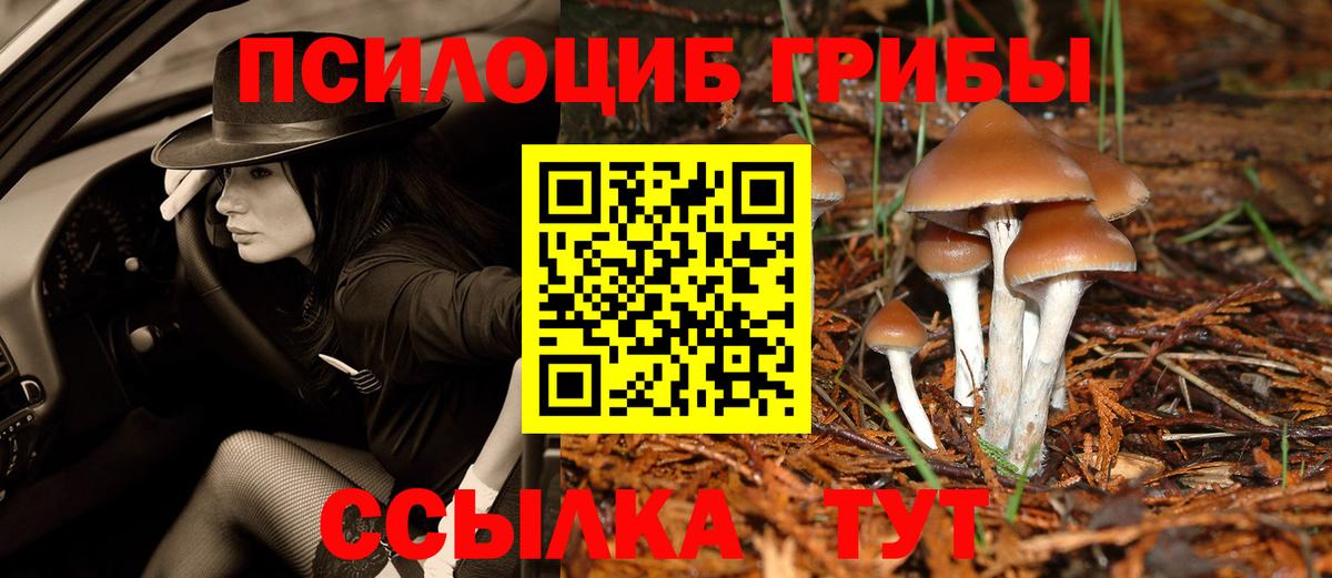 Псилоцибиновые грибы Psilocybine cubensis Новочеркасск