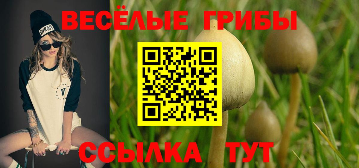 где продают наркотики  Вход с VPN  Новочеркасск  Галлюциногенные грибы Magic Shrooms 